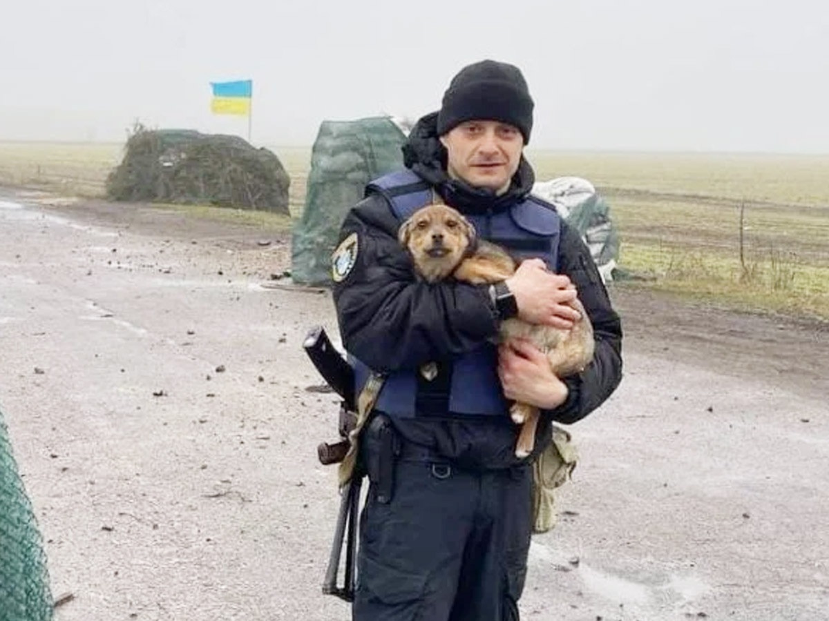 Правоохоронці закликають українців піклуватися про своїх домашніх улюбленців та не покидати їх 
Фото: Національна поліція України